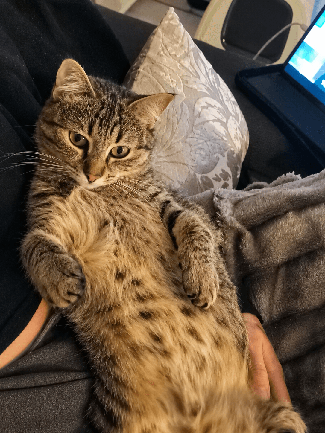 Claudia avec Nova